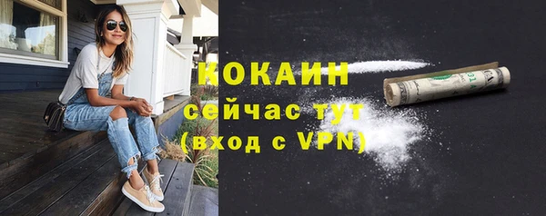 шишки Богородск