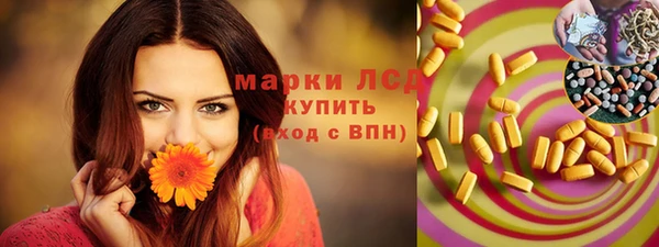 твердый Богданович