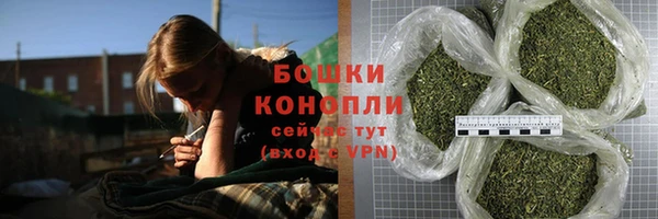 шишки Богородск