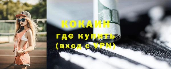 твердый Богданович