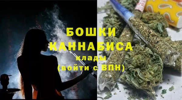 шишки Богородск