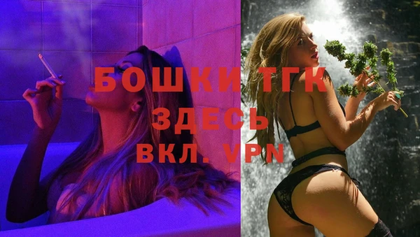 твердый Богданович