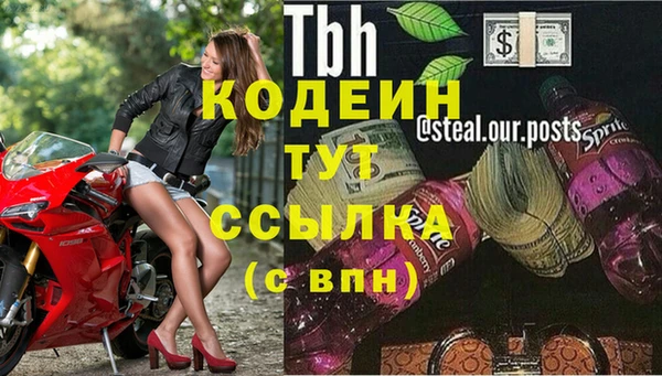 шишки Богородск