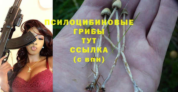 кристаллы Богородицк