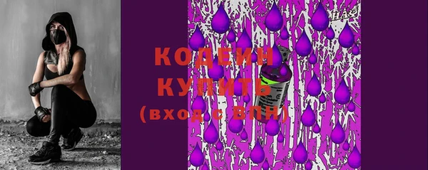 твердый Богданович