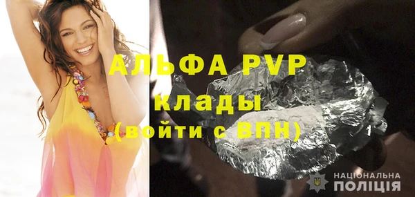 spice Бородино
