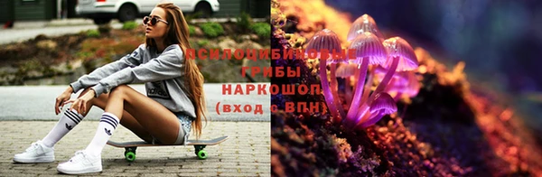 твердый Богданович