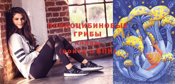 шишки Богородск